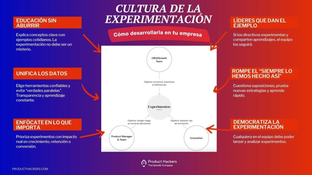 Infografía sobre cómo desarrollar una cultura de experimentación en tu empresa, destacando educación, unificación de datos, liderazgo, priorización de experimentos y democratización del proceso.